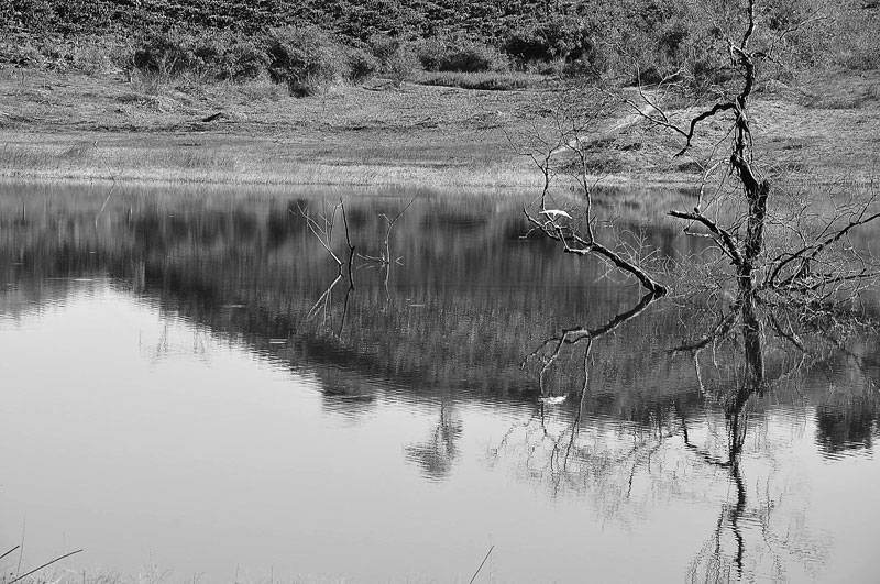 DSC_7162.jpg