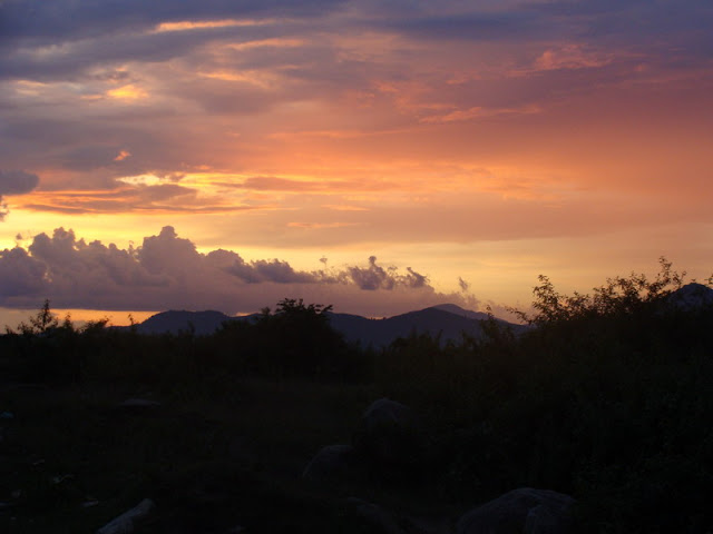 DSC03470_resize.JPG