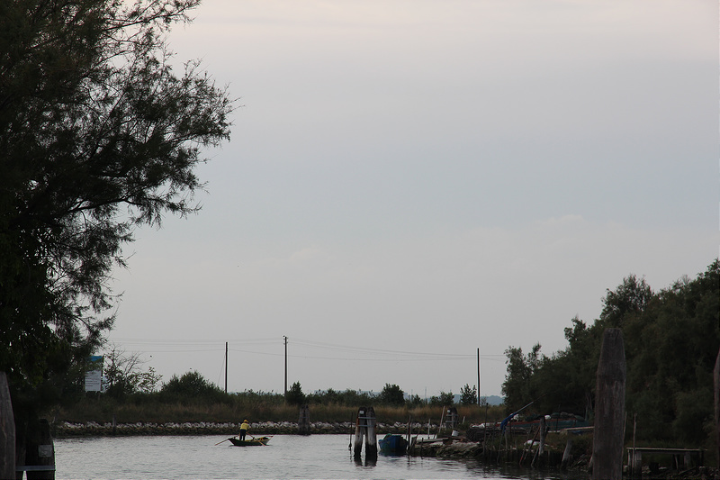 15265150162_734e5781b1_c.jpg