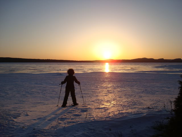 DSC08990.jpg