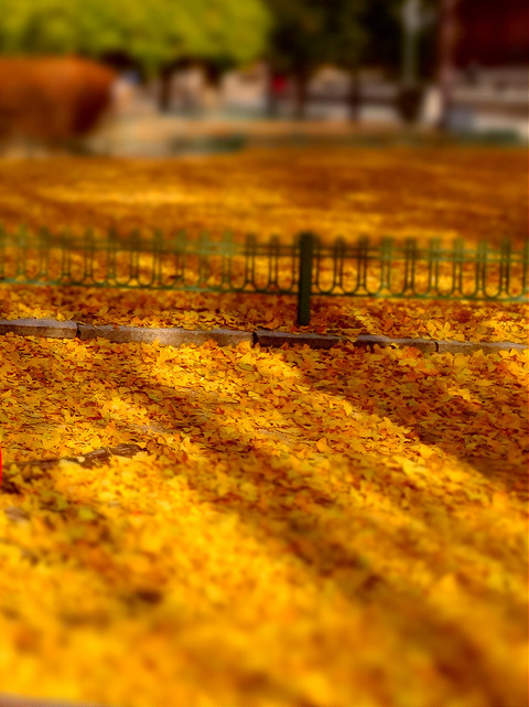 9098255329_c8d11a37ac_z.jpg