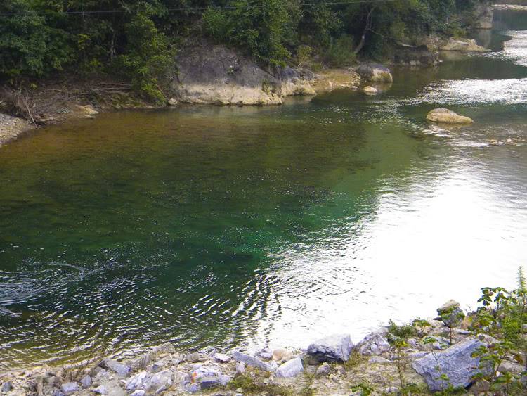 DSCN6972.jpg