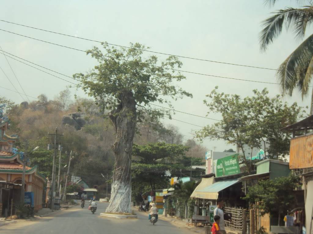 DSC05782-1.jpg