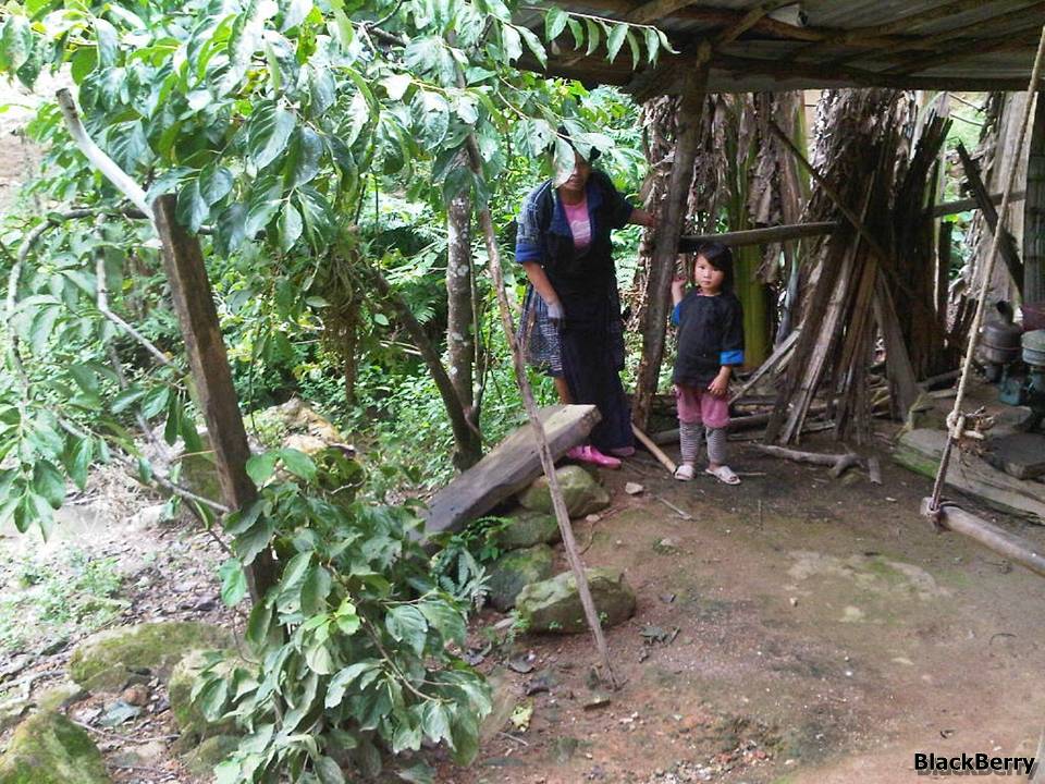 IMG-20120923-00180.jpg