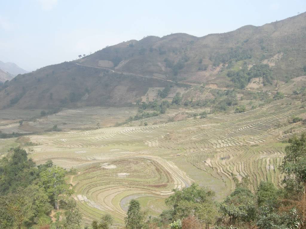 DSCN0332.jpg