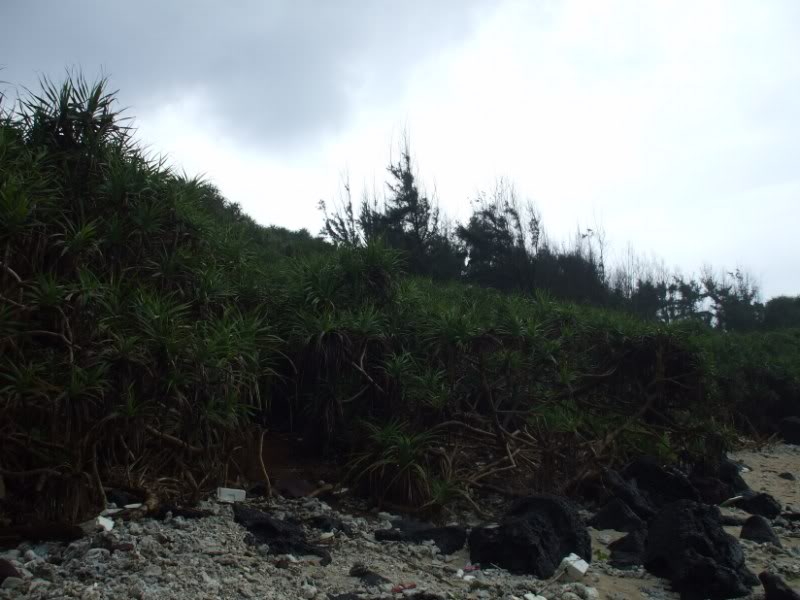 DSCF7016.jpg