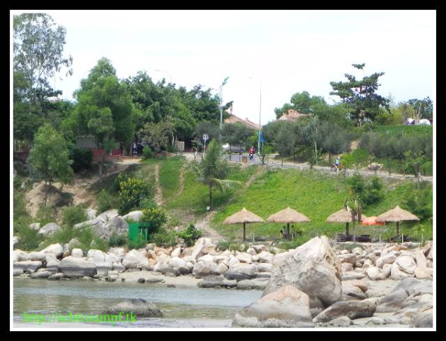 DSCN3980.jpg