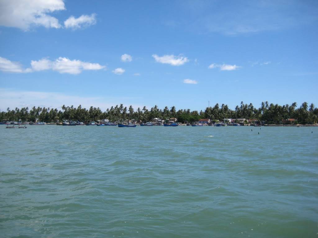 IMG_3887.jpg