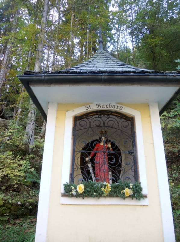 DSCN5330.jpg