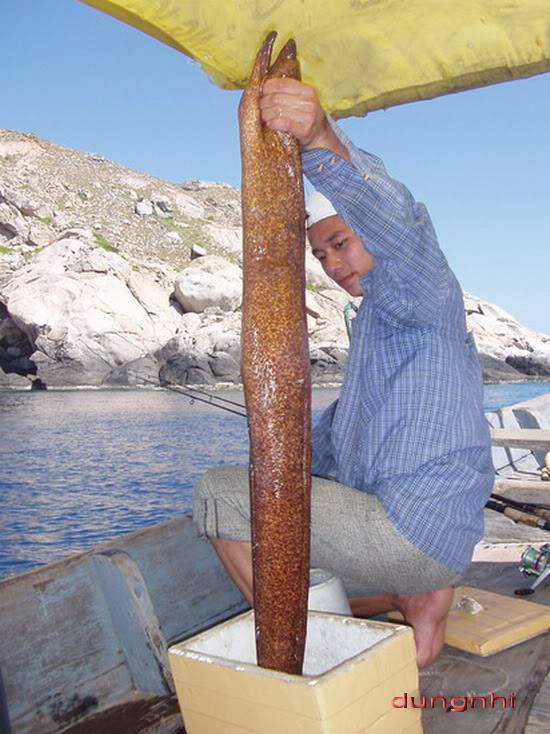 Chinhbien01_resize_resize.jpg