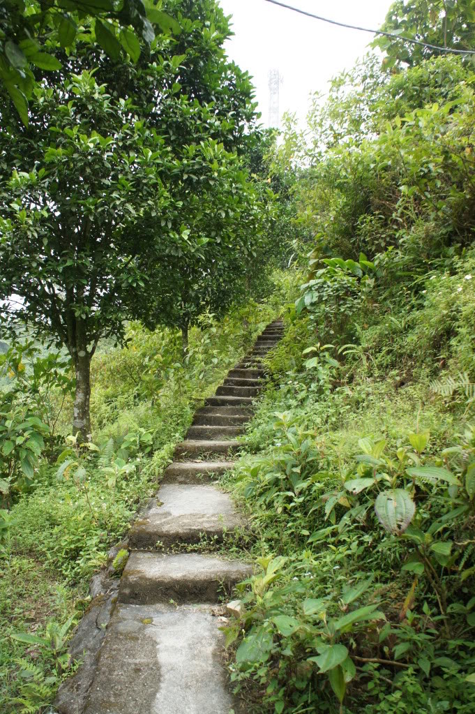 DSC06094.jpg