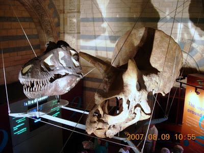 DSCN3695.JPG