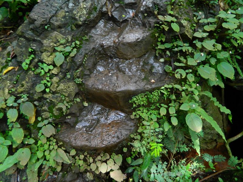 DSCN1744.jpg