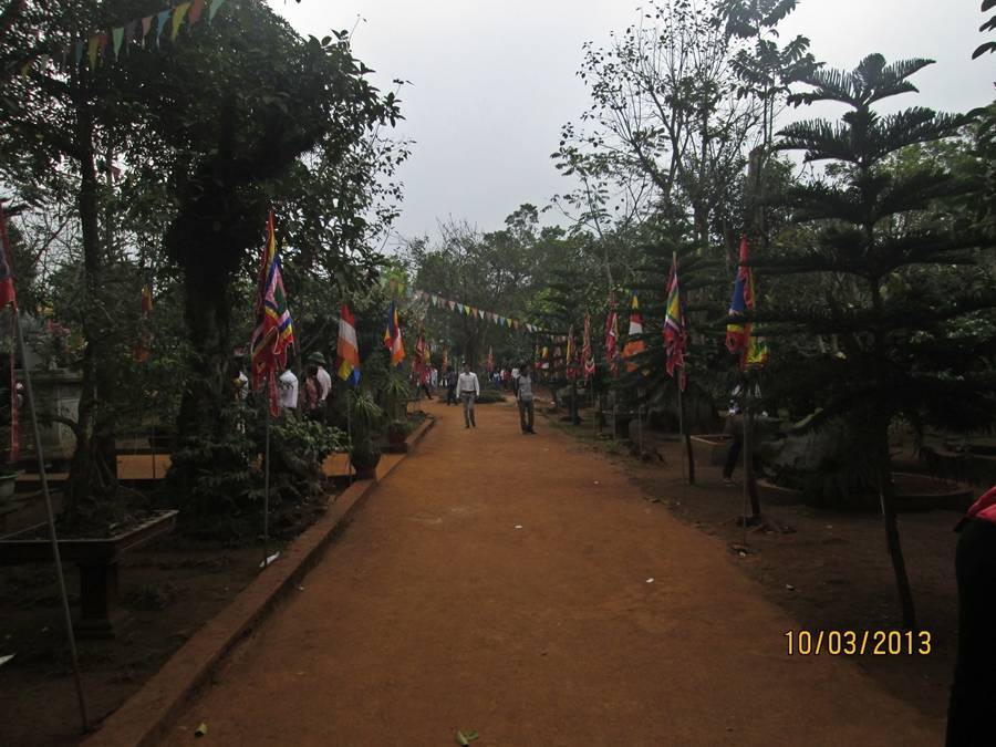 IMG_0423_zps4ad3cb7d.jpg
