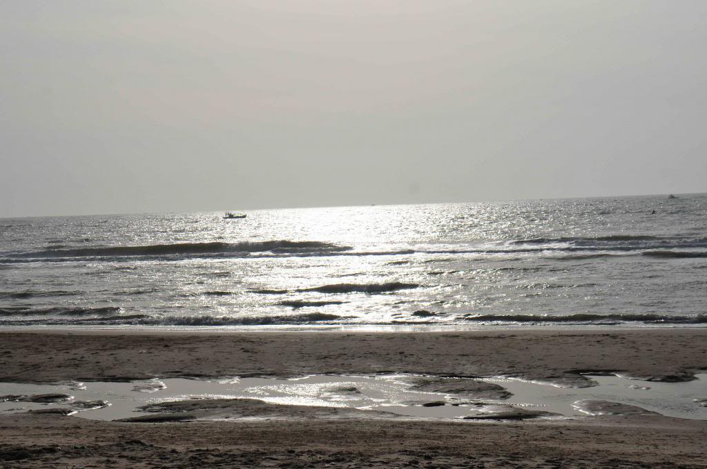 DSC_1133_zpsc36bceea.jpg