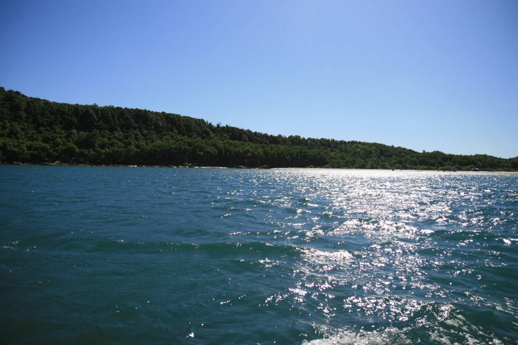 IMG_4354.jpg
