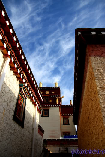 shangri-la104.jpg