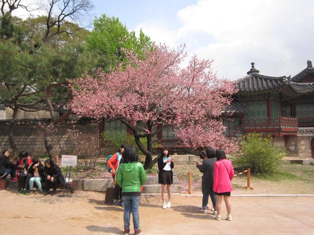 IMG_1716_zps8308528b.jpg