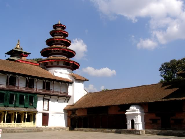 PA260571.jpg