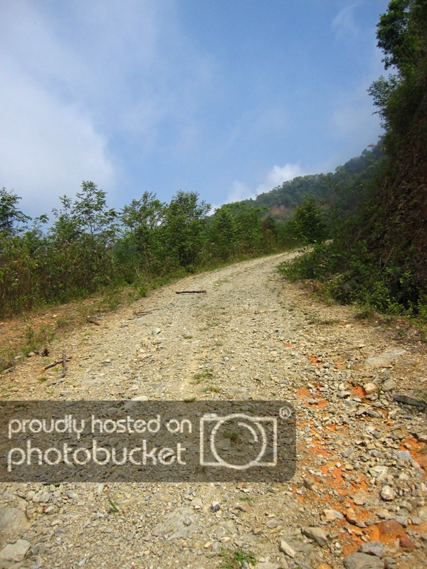 IMG_1135_zps86709f14.jpg