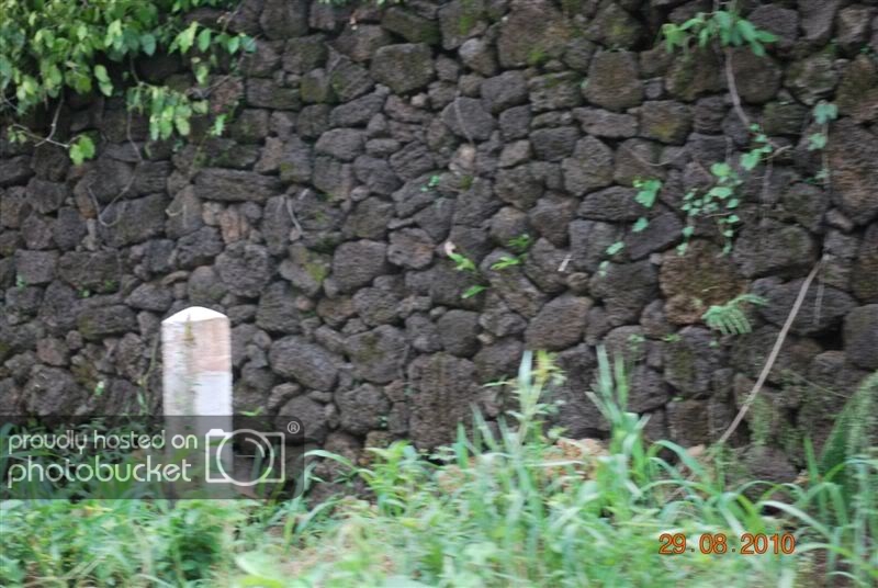 DSC_1675.jpg