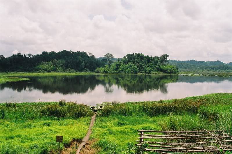 000020-8.jpg