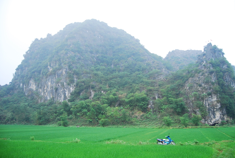 dsc7307z.jpg