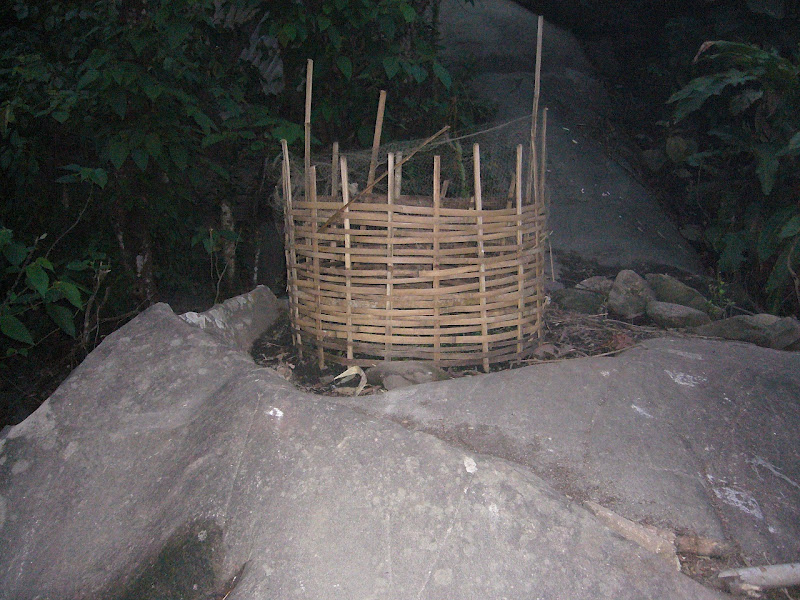 P1080039.JPG