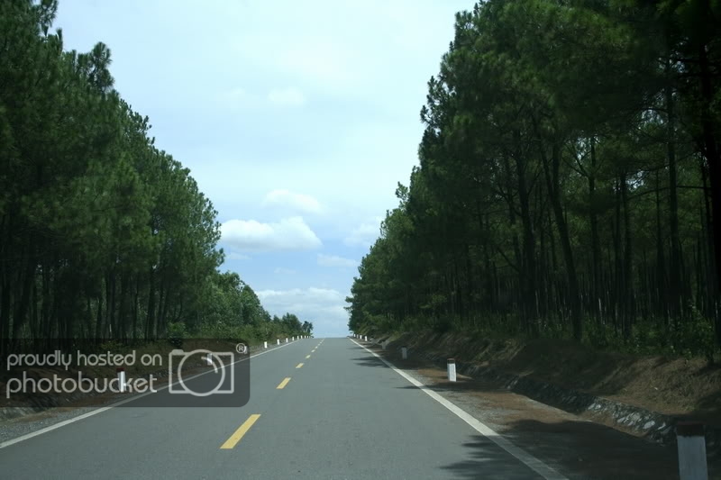 _MG_6946.jpg