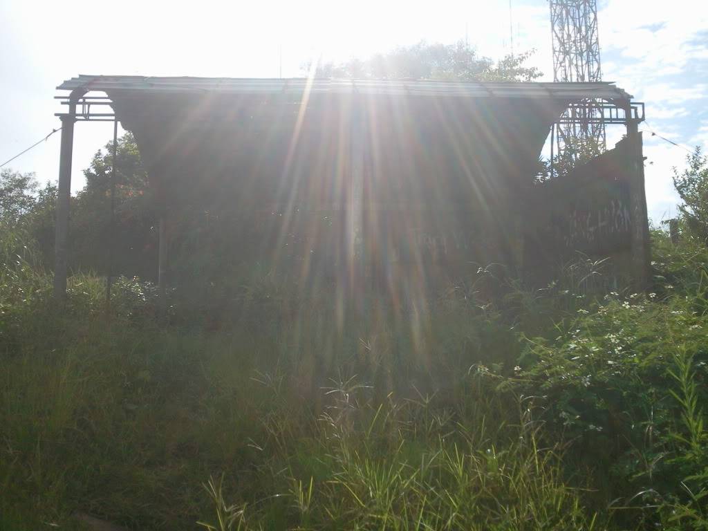 Photo0883.jpg