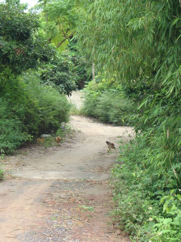 DSC00815.jpg