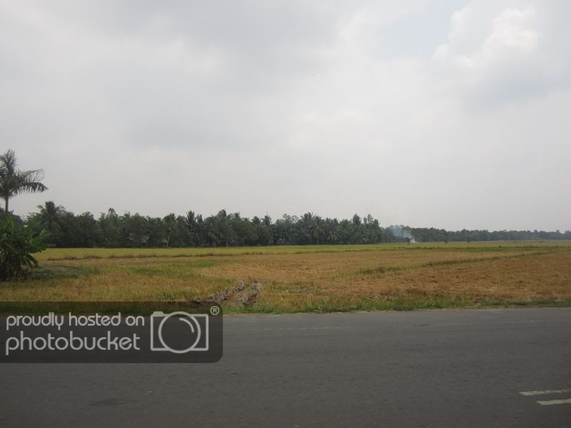 IMG_0751_zps1d95566c.jpg