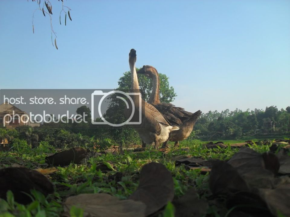 SDC14879.jpg