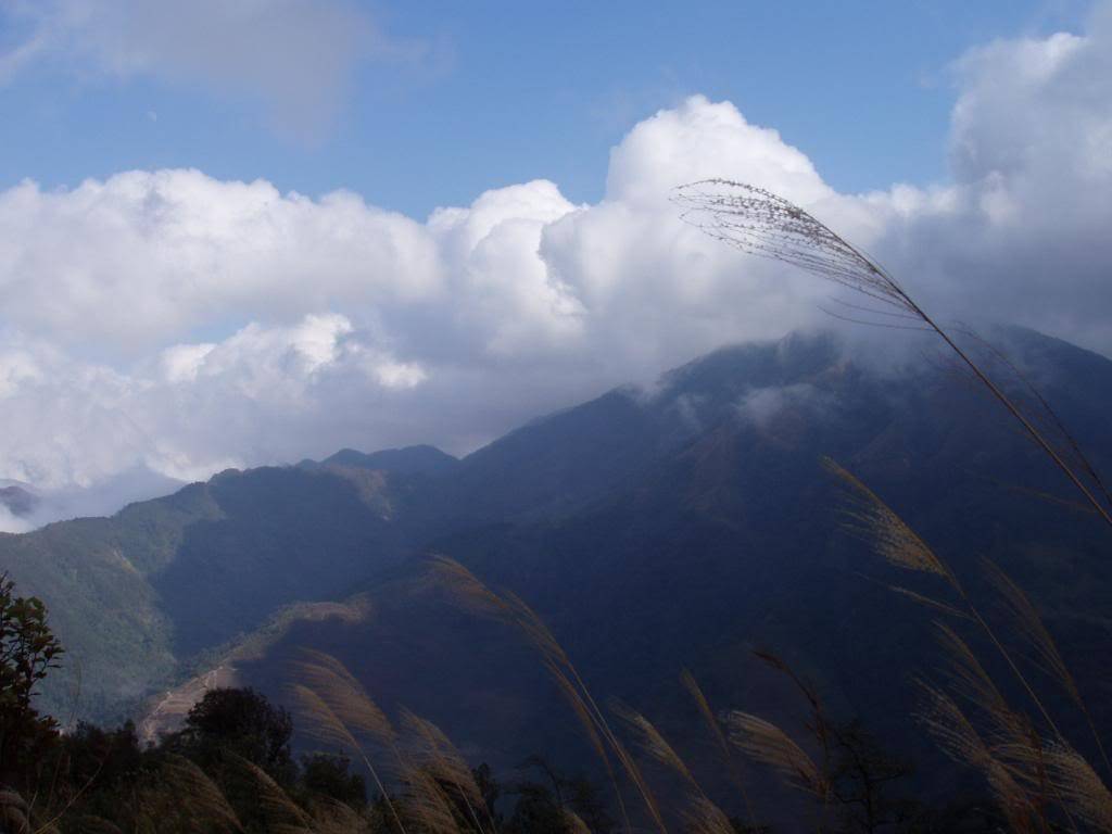 PC260108.jpg