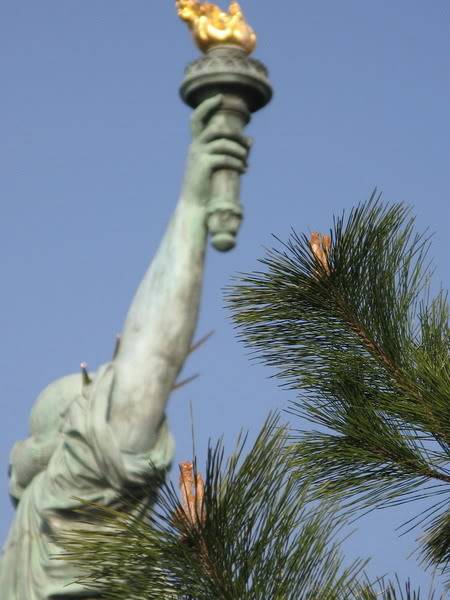 IMG_2597_resize.jpg