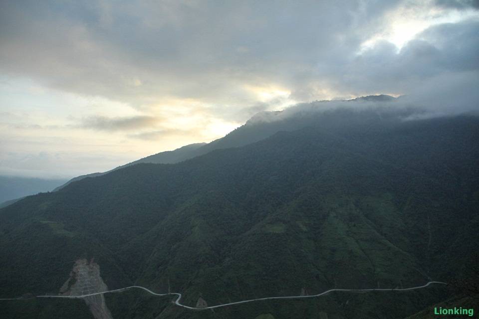 IMG_8973.jpg