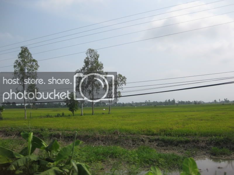 DongThapTET2011083.jpg