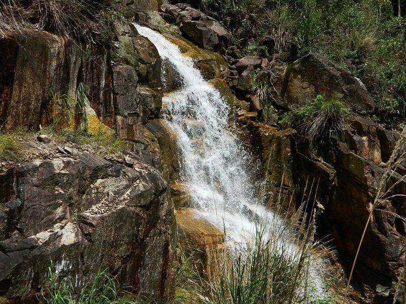 DSCN2866.jpg
