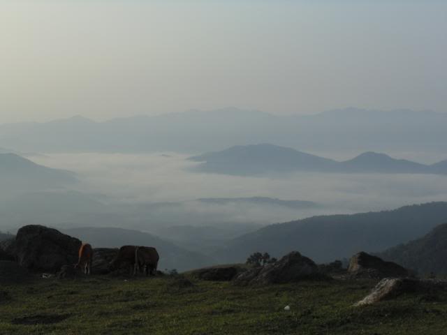 DSC00815_zps34909fa9.jpg