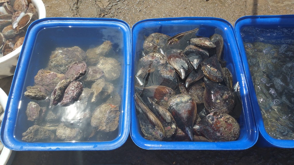 20150716_102720_zpsh7si51t4.jpg