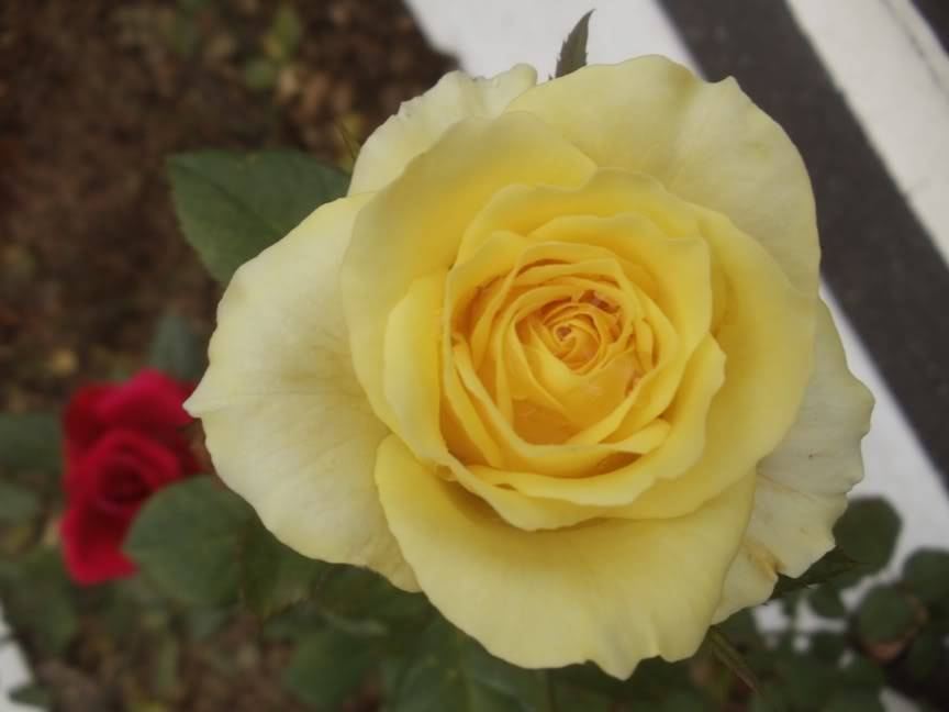 DSC00678.jpg