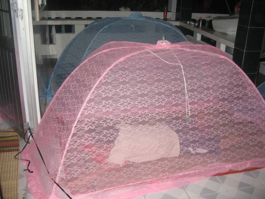 HnSn076.jpg