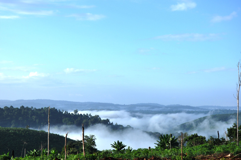 DSC_1443.jpg