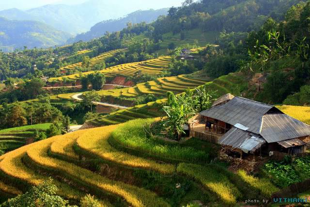 Hgiang9.jpg