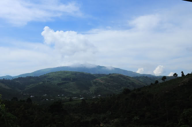 DSC_0517.jpg