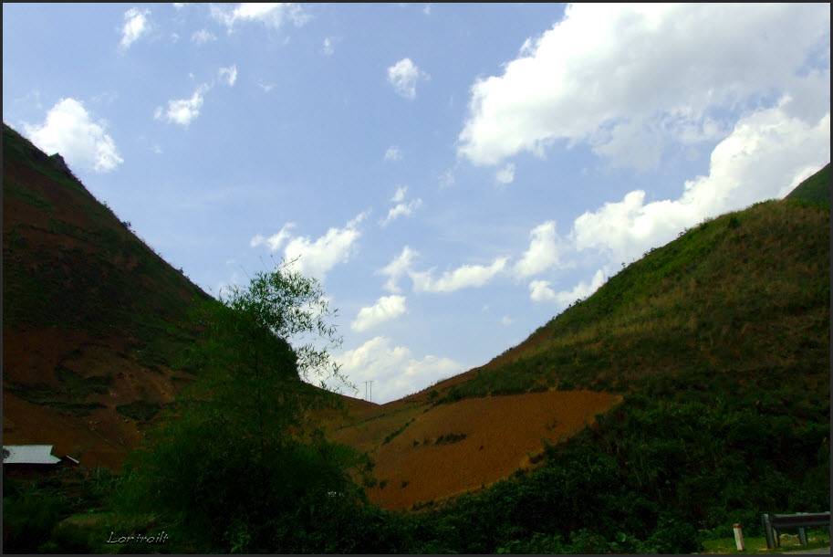 DSCF0248.jpg