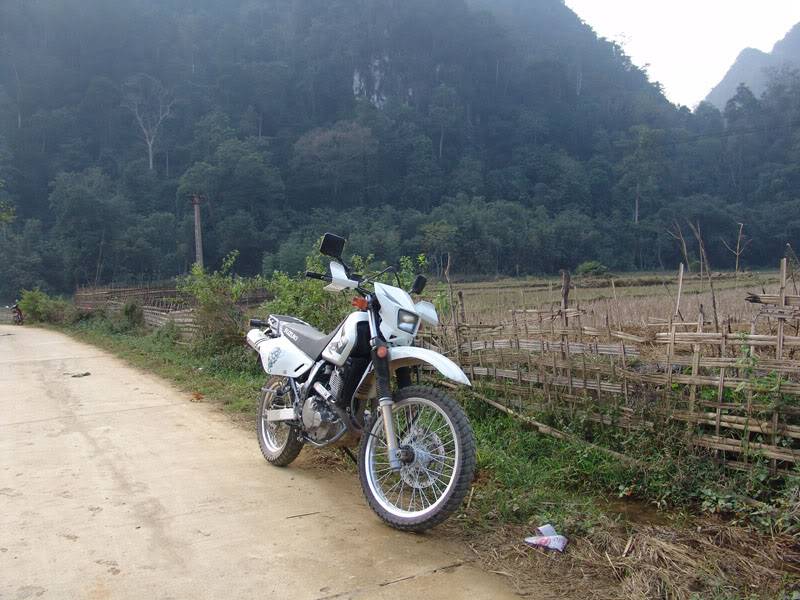 Xuanson2009sony013.jpg