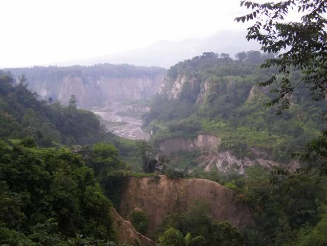 P7240644.jpg