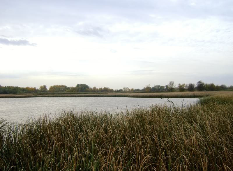 DSC06545.jpg