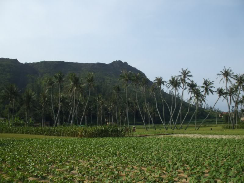 DSCF6802.jpg
